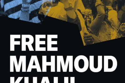 A graphic that includes the phrase Free Mahmoud Khalil.